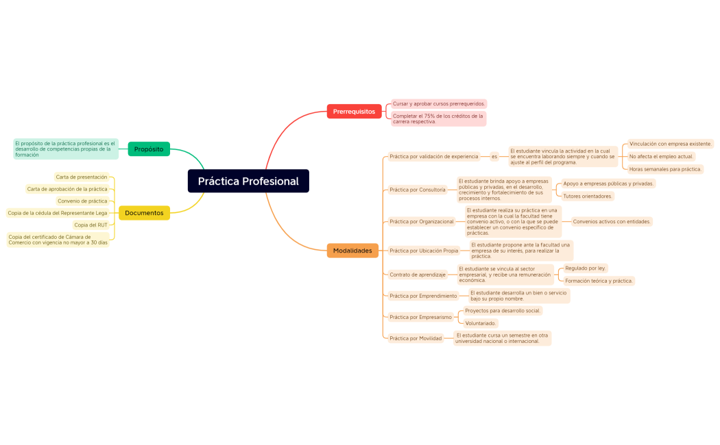 Práctica Profesional
