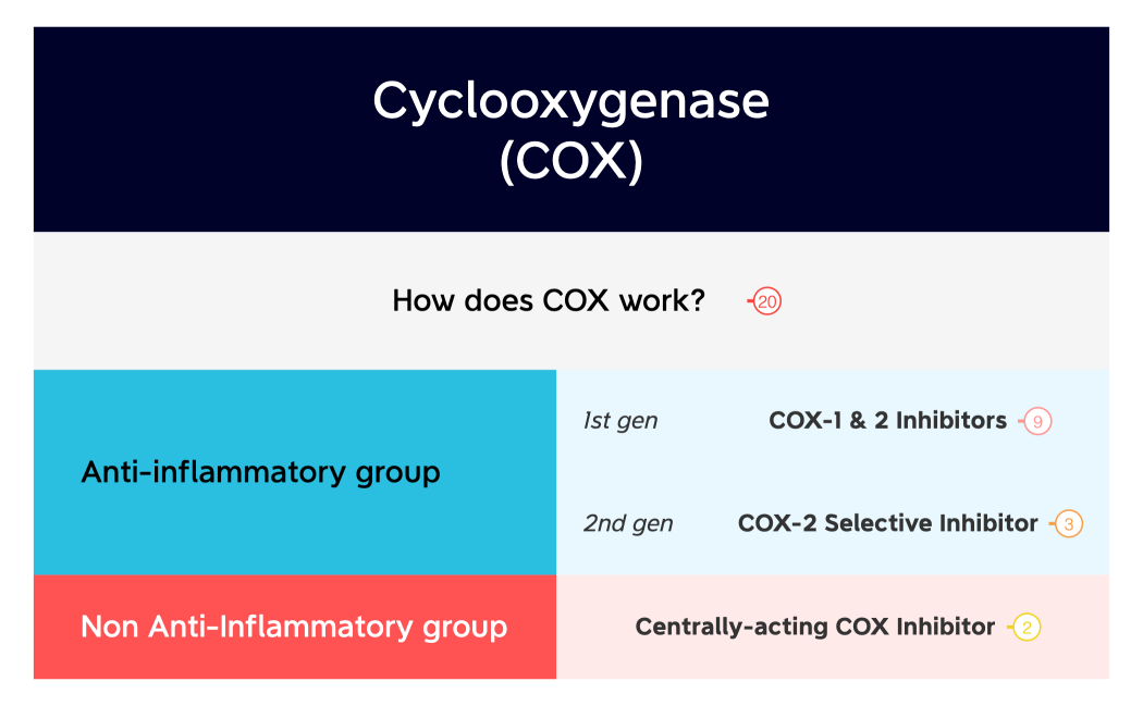 Cyclooxygenase(COX)