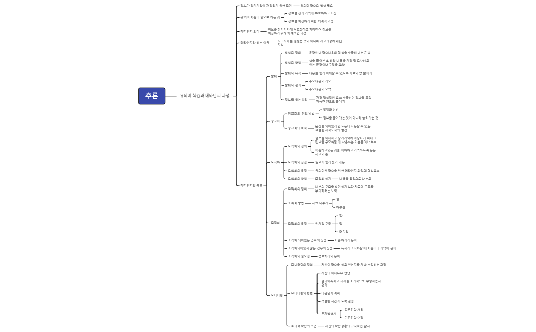 유의미학습과 메타인지과정(김희준)