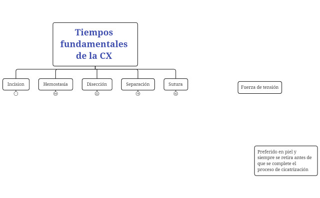 Tiempos fundamentales de la CX MAPA