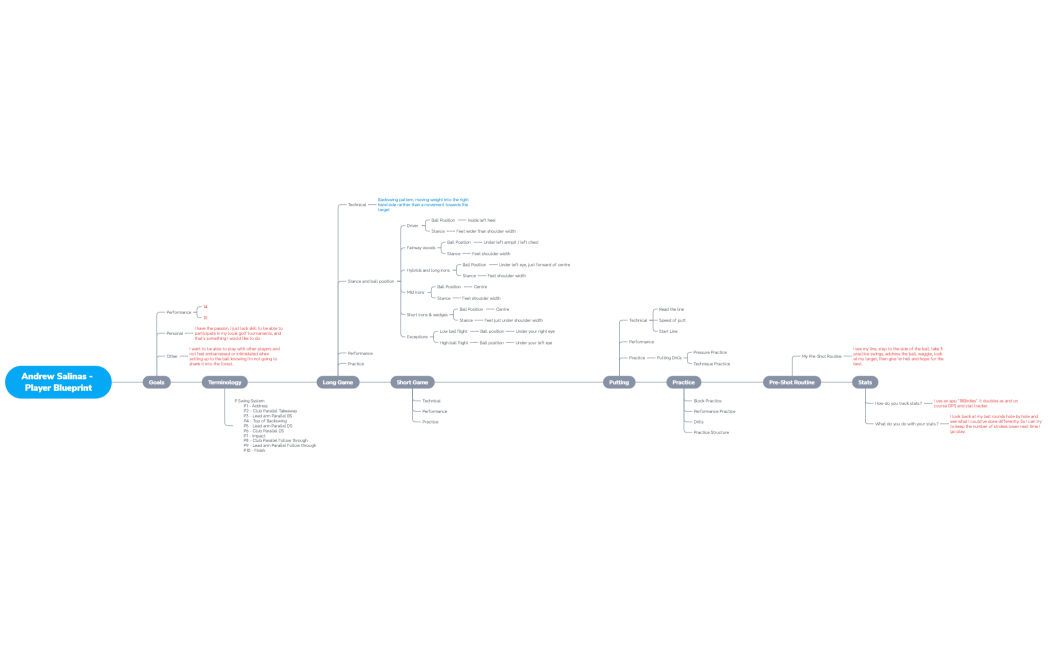 Andrew Salinas - Player Blueprint