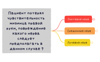 Пациент потерял чувствительность мизинца правой руки, повреждение какого нерва следует предполагать в данном случае ?