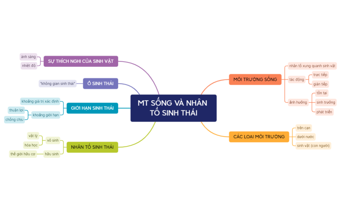 MT SỐNG VÀ NHÂN TỐ SINH THÁI.xmind