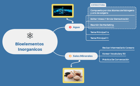 BIOELEMENTOS INORGANICOS.xmind