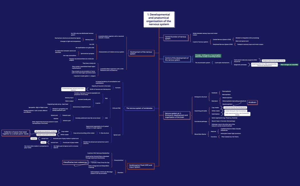 1. Developmental and anatomical organisation of the nervous system