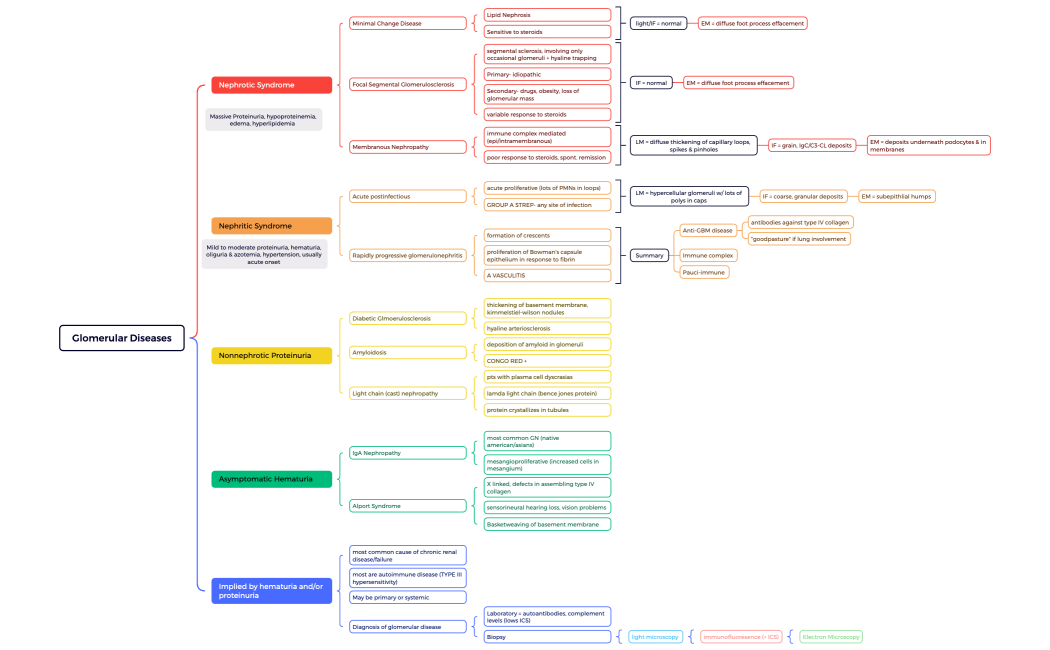 Glomerular Diseases