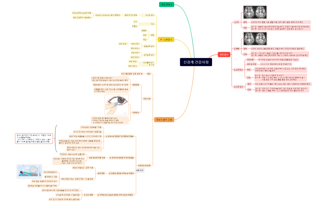 신경계 건강사정
