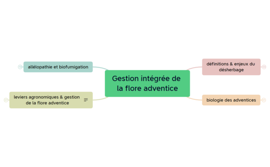 Gestion intégrée de la flore adventice