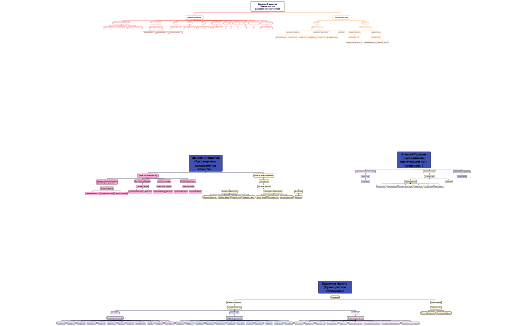 Цвирко Владислав(Руководитель департамента качества) 
