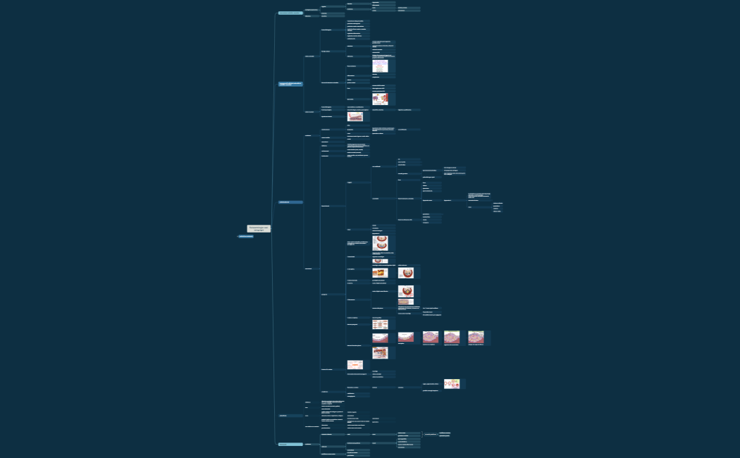 fisiopatologia vasi sanguigni