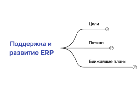 Поддержка и развитие ERP