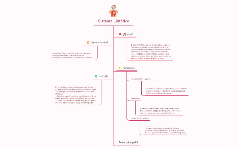 Sistema Linfático.xmind