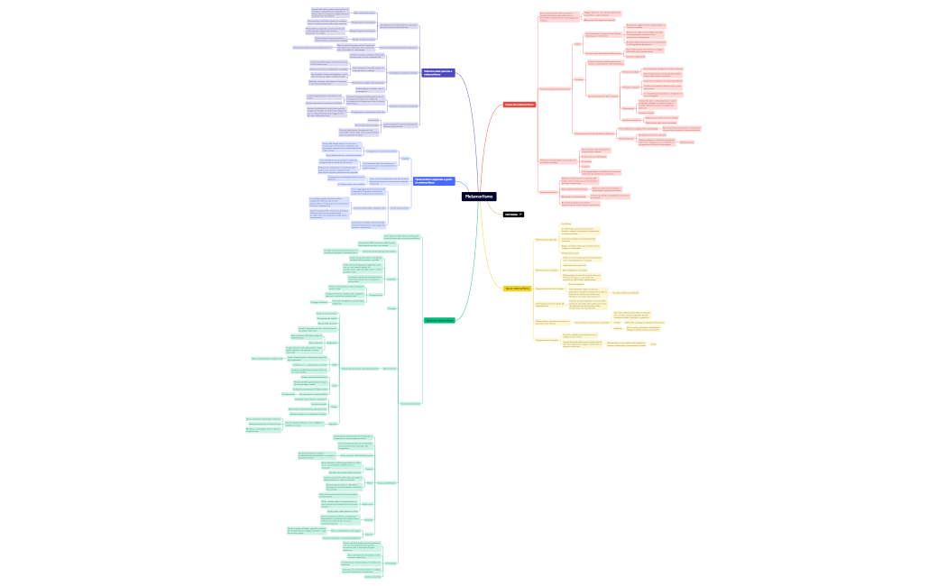 Metamorfismo-xUzacN-cSsGKEy-54442