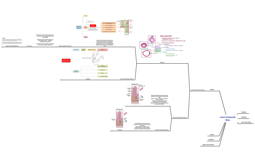 cant_stomach_this_SRXZzbWkwmYLx52318hNNt3rDpCvxf298207-vcW6Fs-wM2mXYK-04951