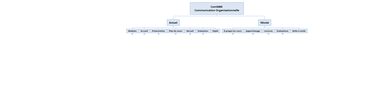 COM5000 Communication organisationnelle