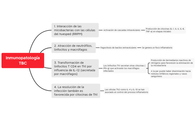 Inmunopatología TBC