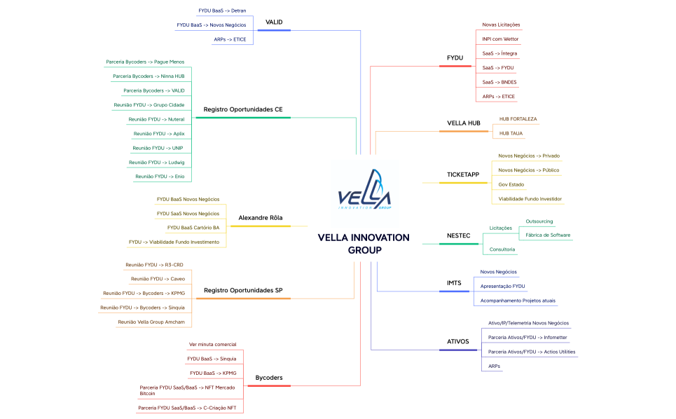 VELLA INNOVATION GROUP