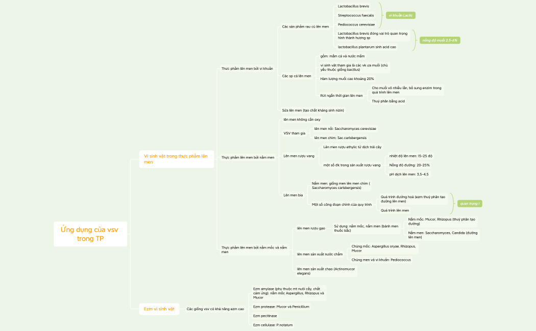 Ứng dụng của vsv trong TP