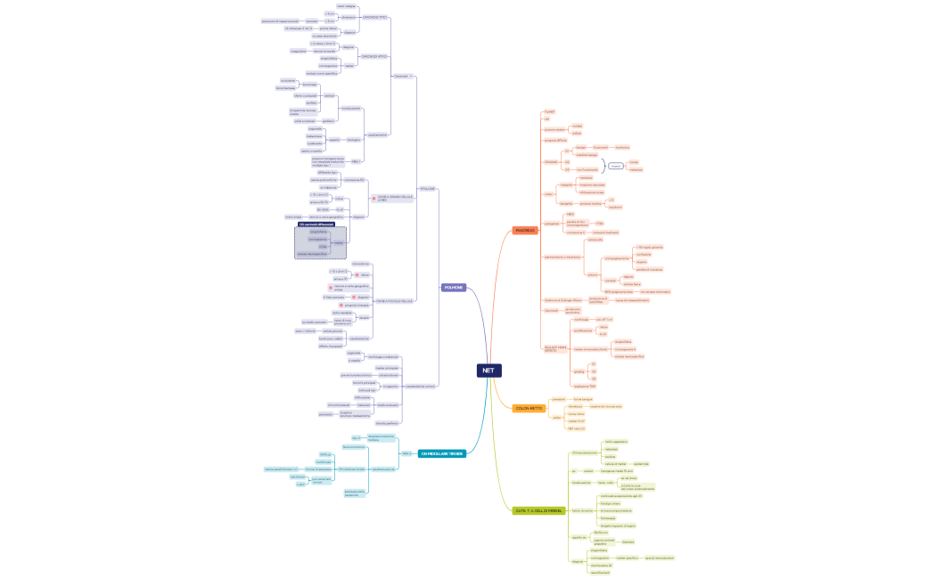16. TUMORI NEUROENDOCRINI NET