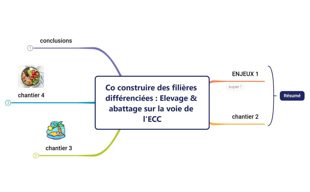 Co construire des filières différenciées  Elevage & abattage sur la voie de l'ECC