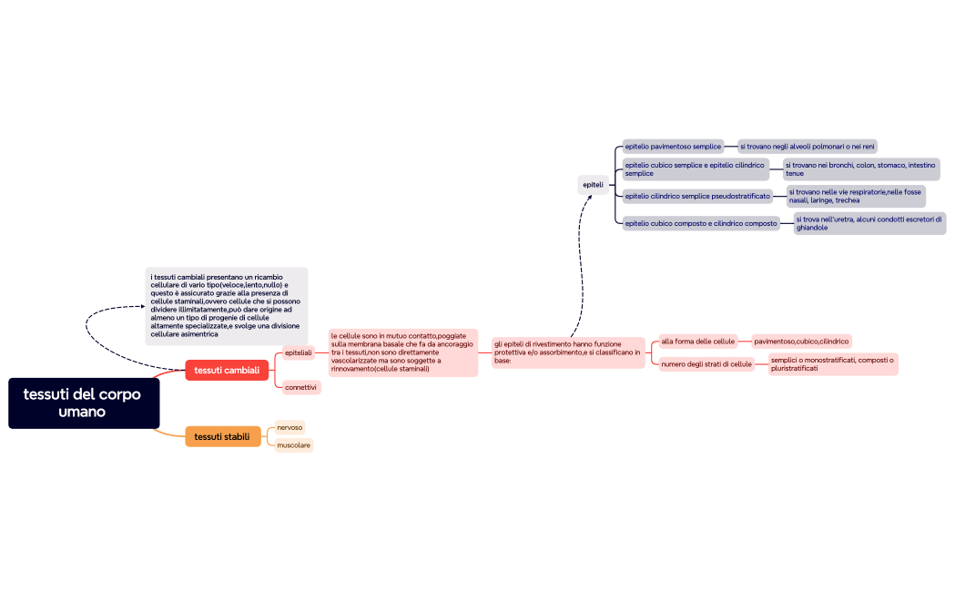 tessuti del corpo umano 