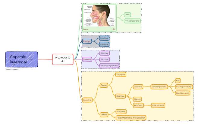 Apparato  Digerente.xmind