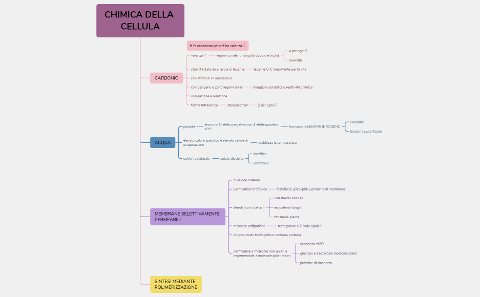 CHIMICA DELLA CELLULA