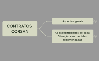 -_CORSAN_-_VISÃO_GERAL_E_DIAGNÓSTICO_JURÍDICO_ADITIVOS[1]