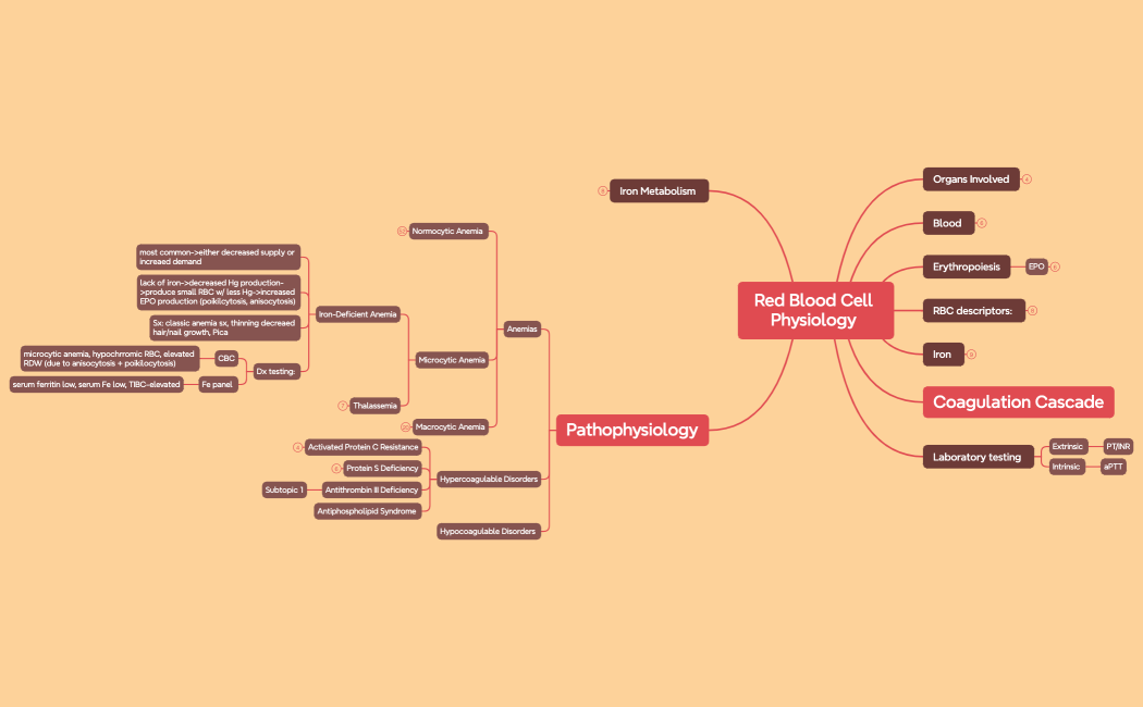Red Blood Cell Physiology 