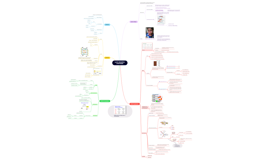 Lec10: DNA&RNA SYNTHESIS.xmind