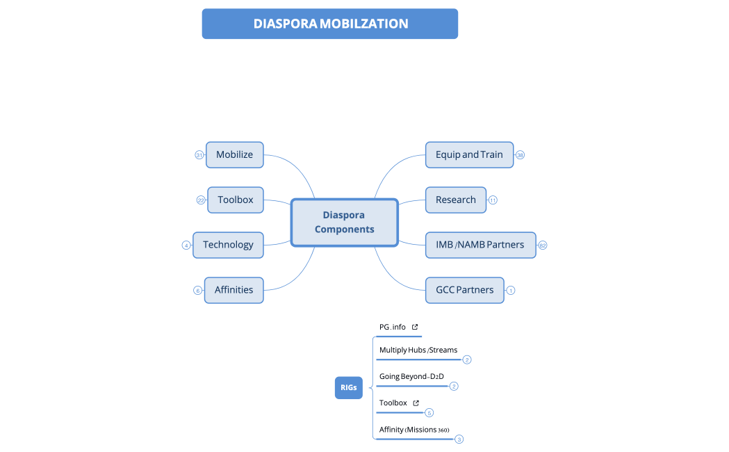 DIASPORA STRATEGIC COMPONENTS.xminda