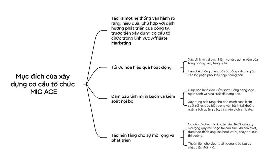 Mục đích của xây dựng cơ cấu tổ chức MIC ACE
