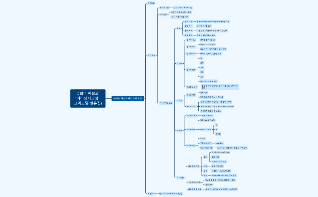 유의미 학습과 메타인지과정 교과코딩(설유진)