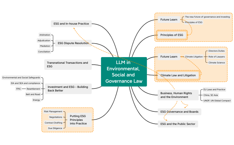LLM in Environmental, Social and Governance Law