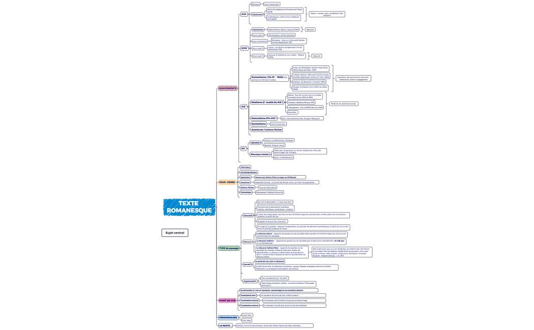 A observer dans le roman