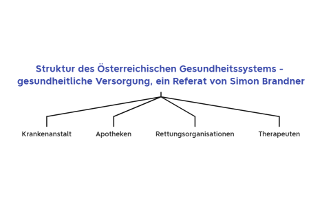 Struktur des Österreichischen Gesundheitssystems - gesundheitliche Versorgung