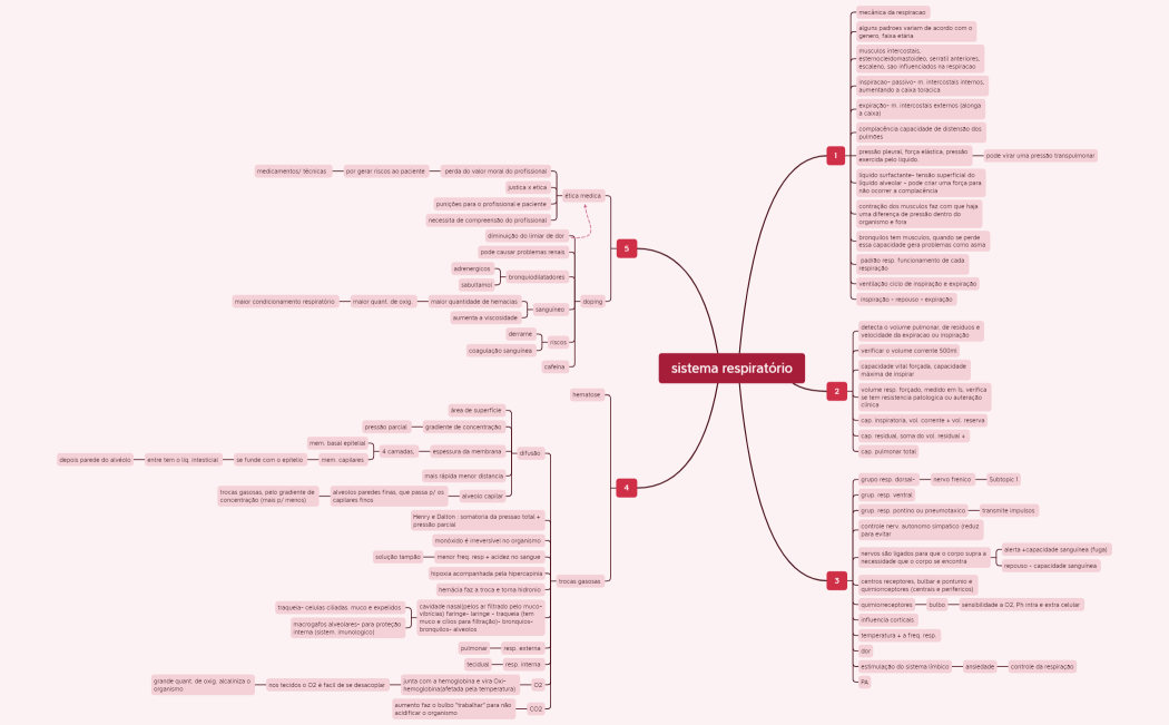 sistema respiratório