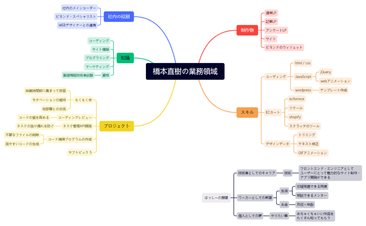 橋本直樹の業務領域
