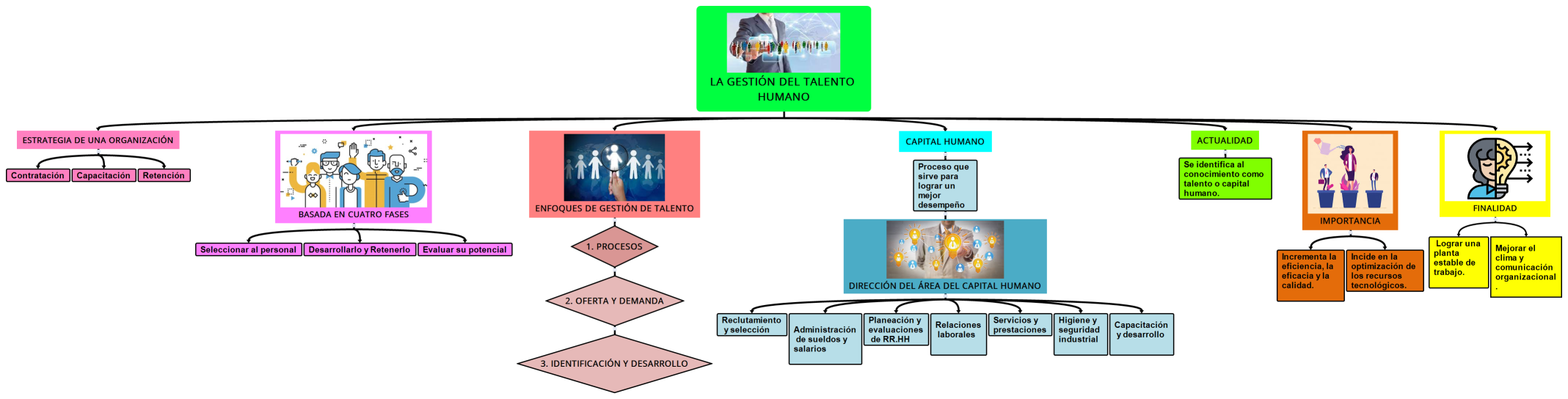 La Gestión del Talento Humano