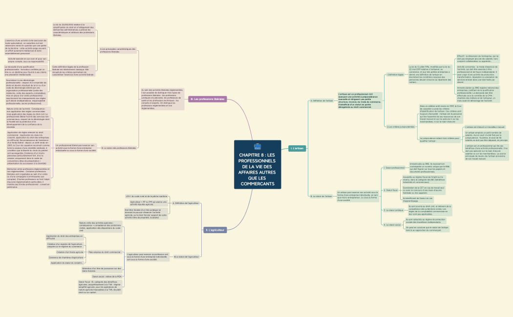 CHAPITRE 8 : LES PROFESSIONNELS DE LA VIE DES AFFAIRES AUTRES QUE LES COMMERCANTS.xmind