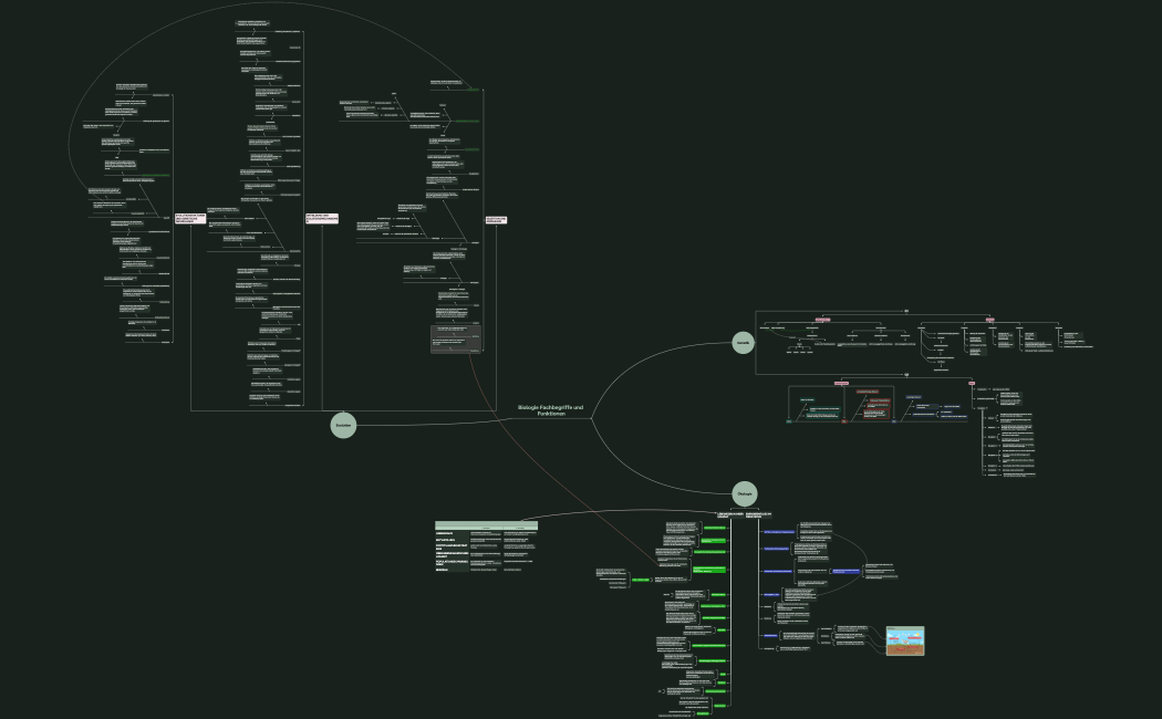 GRAP Rahmenwerk Grundlagen