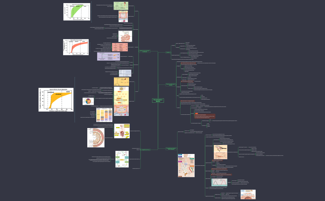 Prise alimentaire et digestion