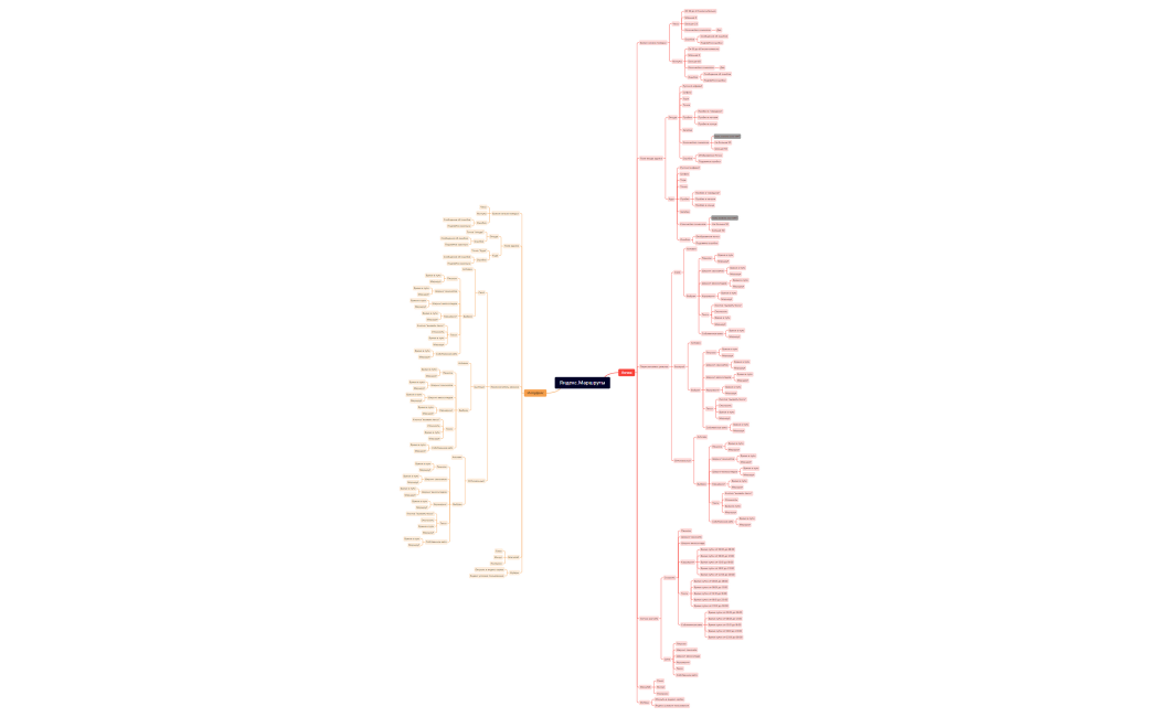 Проект майндмап
