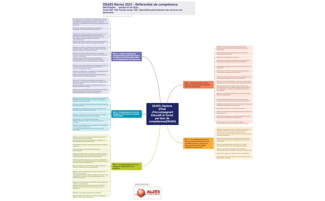 DEAES Diplôme d'Etat d'AccompagnantEducatif et Social par bloc de compétences(DEAES)
