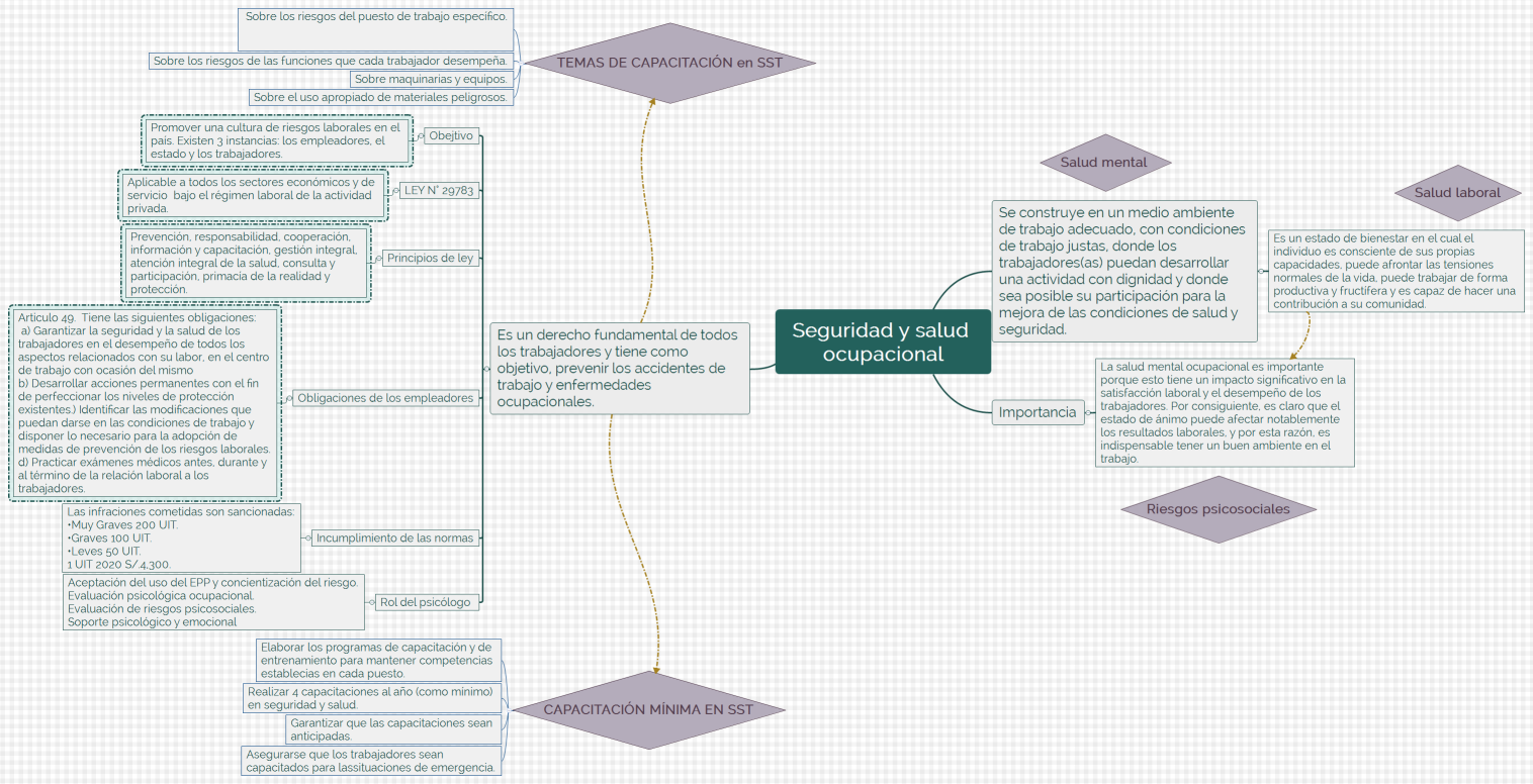 Seguridad y salud ocupacional