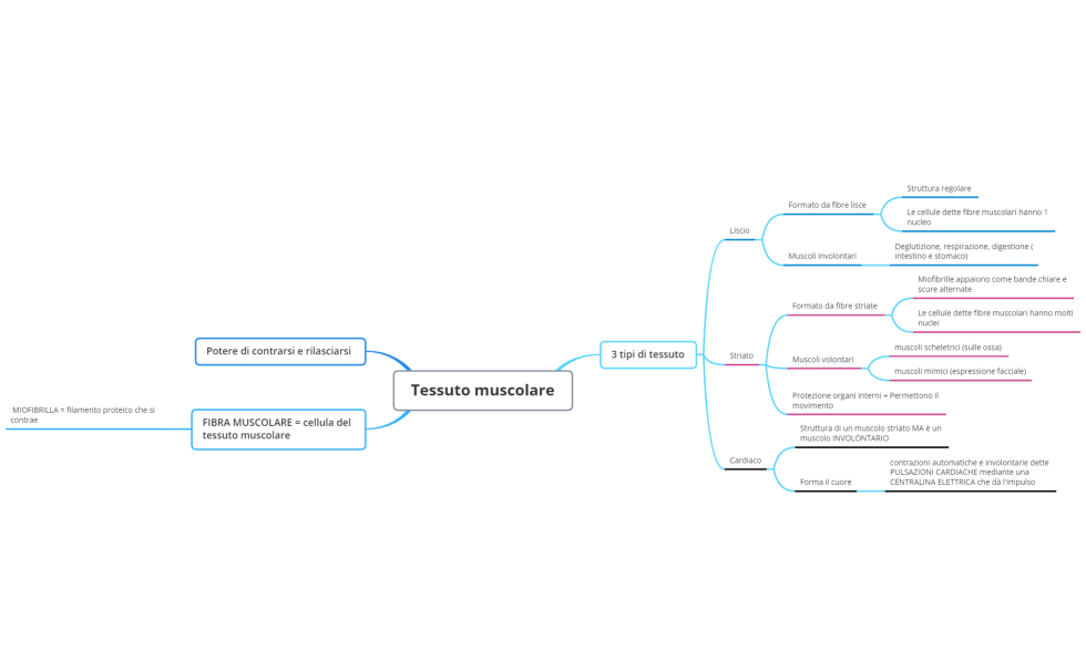 Tessuto muiscolare 