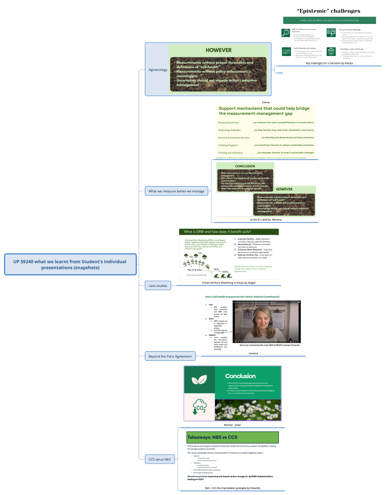UP 55240 what we learnt from Student's Individual presentations (snapshots)