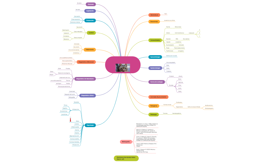 Sarcoma y leucemia canina .xmind