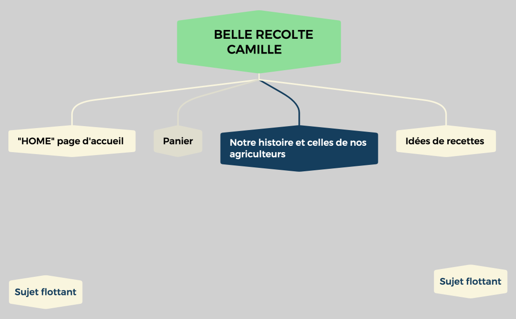        BELLE RECOLTE           CAMILLE          
