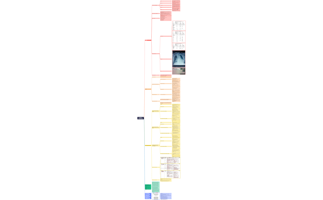 Studi Kasus Tn. L (RSI)